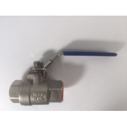 SS316 Ball Valve, 25mm, Female/Female, Lever Handle, 1000wog, BSPT Tapered Threads