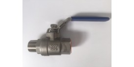 SS316 Ball Valve, 25mm, Male/Female, Lever Handle, 1000wog, BSPT Tapered Threads