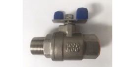 SS316 Ball Valve, 25mm, Male/Female, Tee Handle, 1000wog, BSPT Tapered Threads